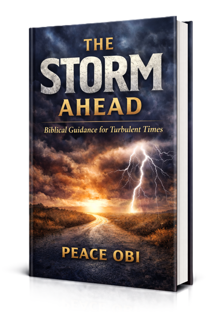 The Storm inspirational Christian book cover